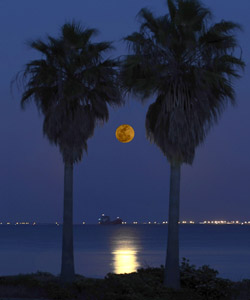 A Super Moon from Ft. DeSoto